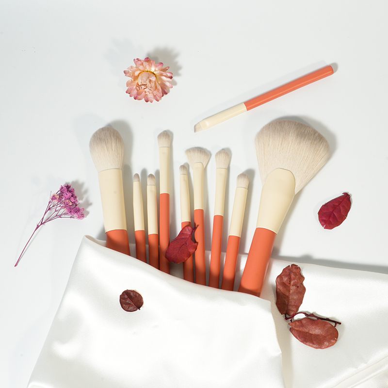 CF06 プライベートラベル 10本セット メイクブラシコレクション 提供者